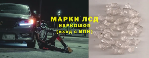 PSILOCYBIN Аркадак