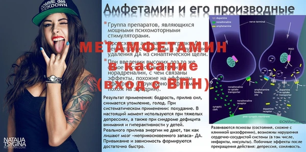 PSILOCYBIN Аркадак