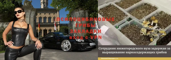 дмт Армянск